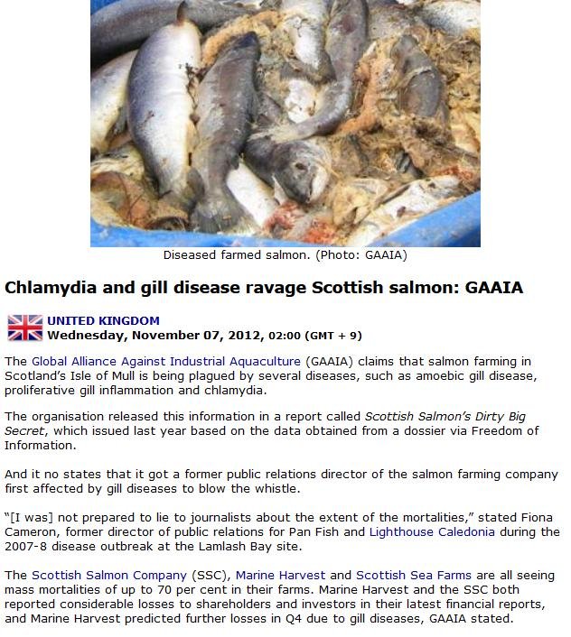 FIS Chlamydia #1 FIS Chlamydia #1