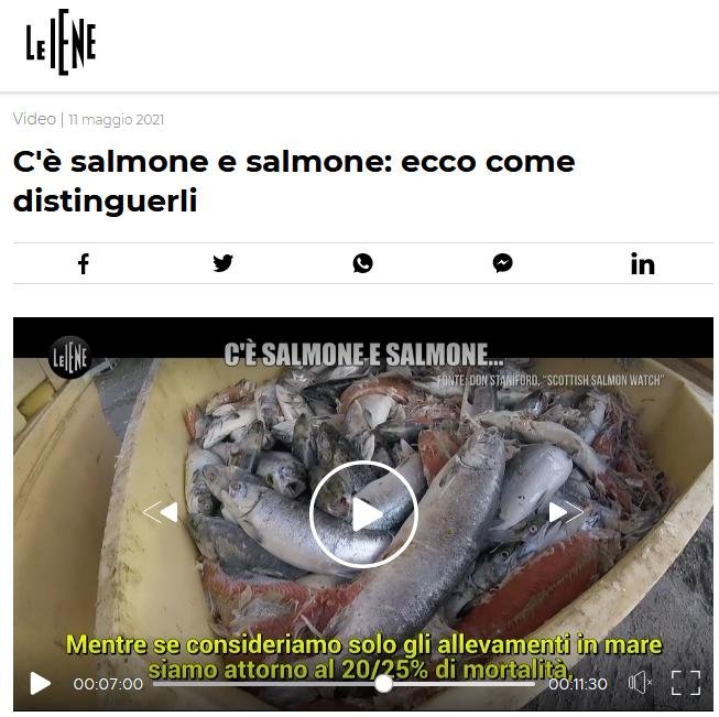 Italian TV May 2021 #5 Grieg