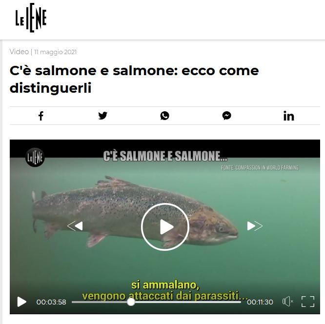 Italian TV May 2021 #CIWF