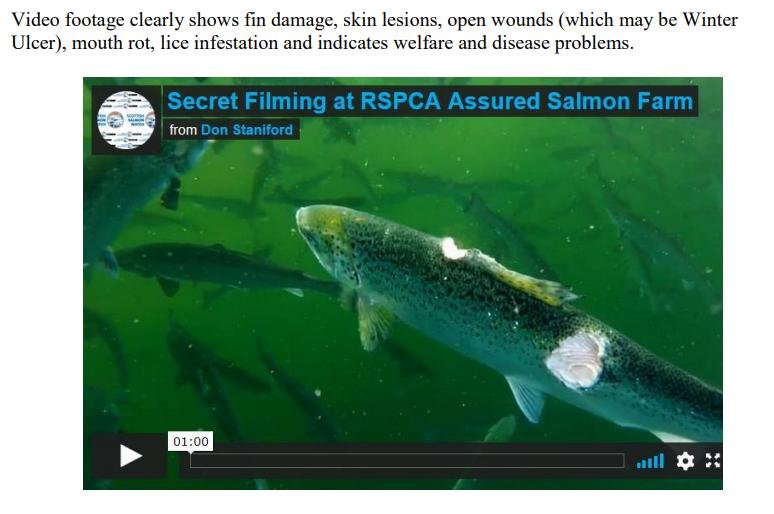 Welfare Complaint #2 Welfare Complaint #2