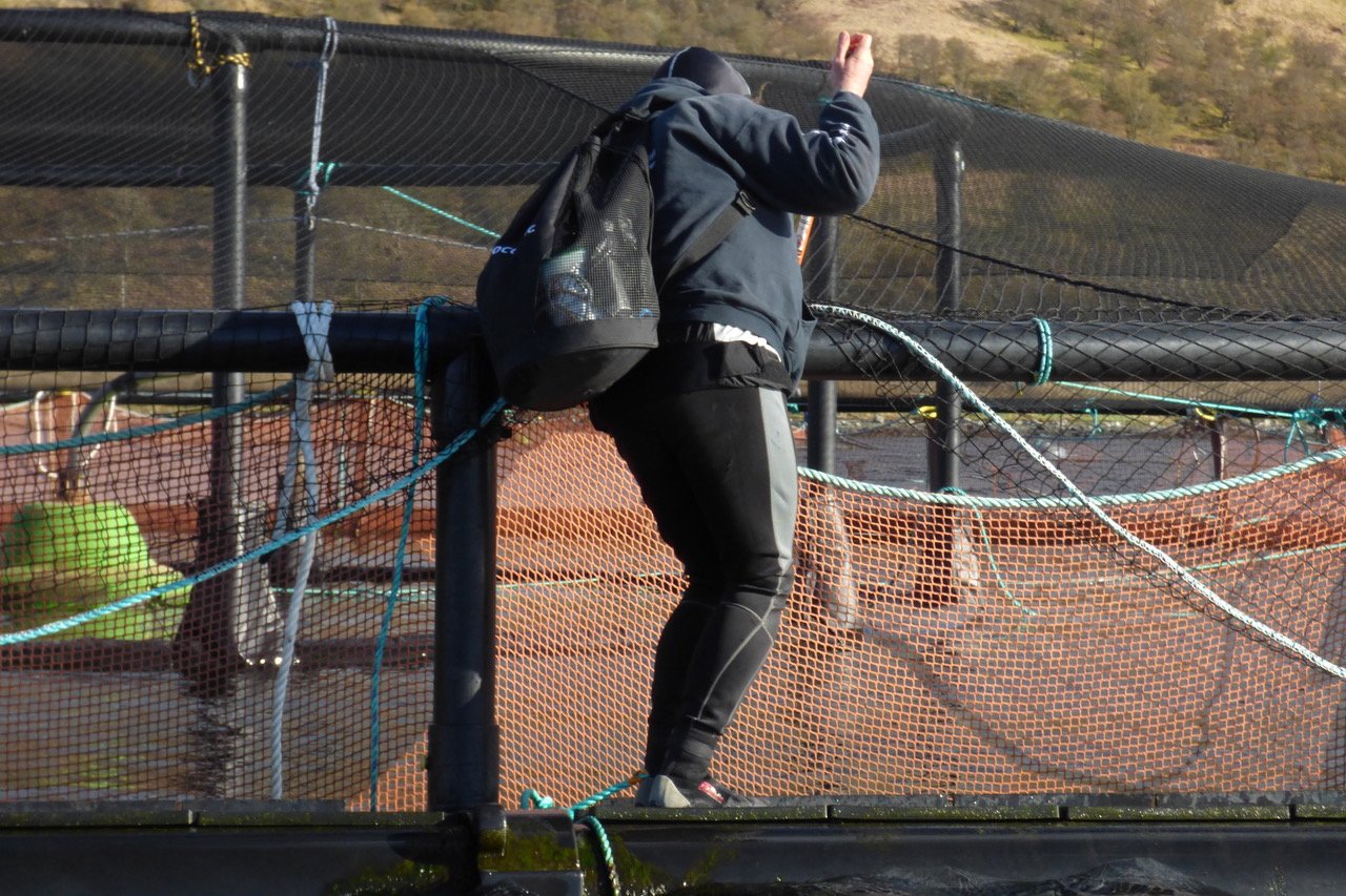 Don filming at Cage Don filming at Cage