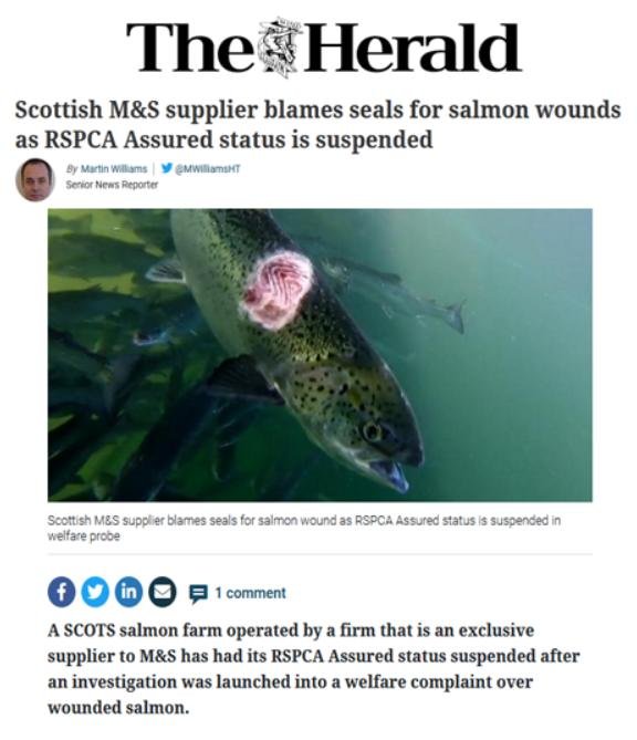 Herald on Sunday 16 May 2021 #1