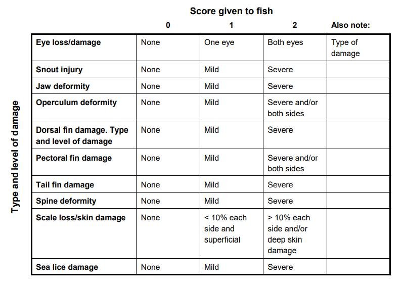 RSPCA standards Feb 2021 #5 physical injury monitoring
