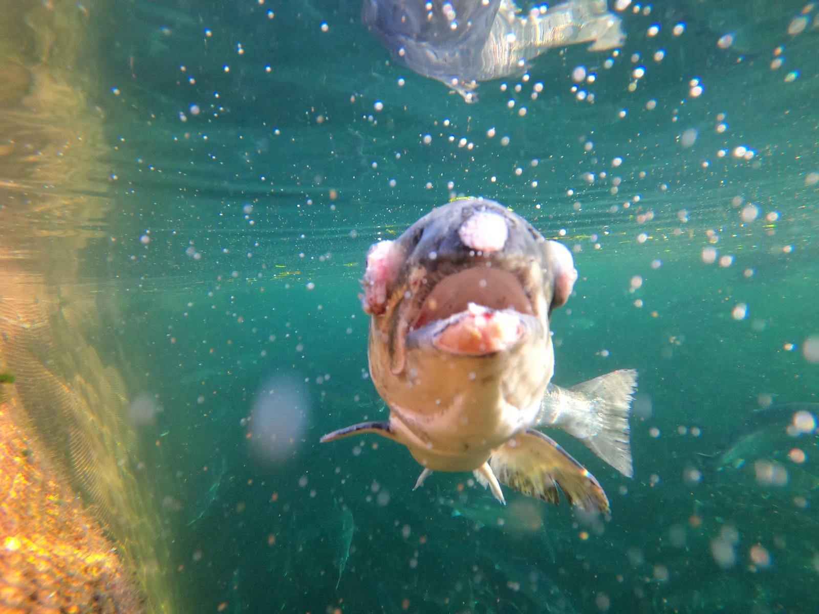 ISSF May 2021 eye problems #2