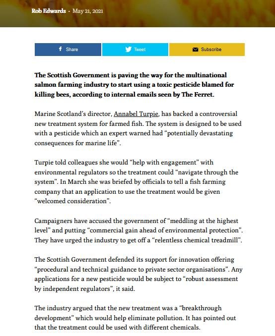 Ferret 21 May 2021 #2