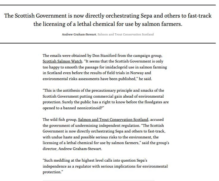 Ferret 21 May 2021 #6