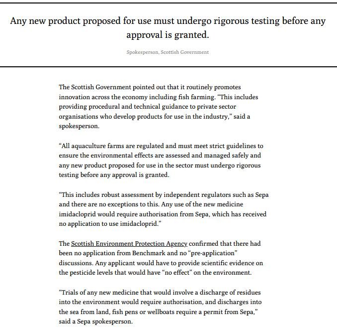 Ferret 21 May 2021 #8