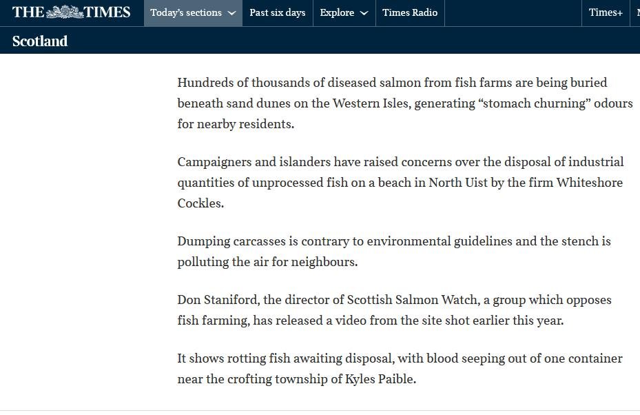 Times Whiteshore stink 27 May 2021 #2