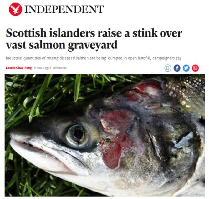 Independent 27 May 2021 #1