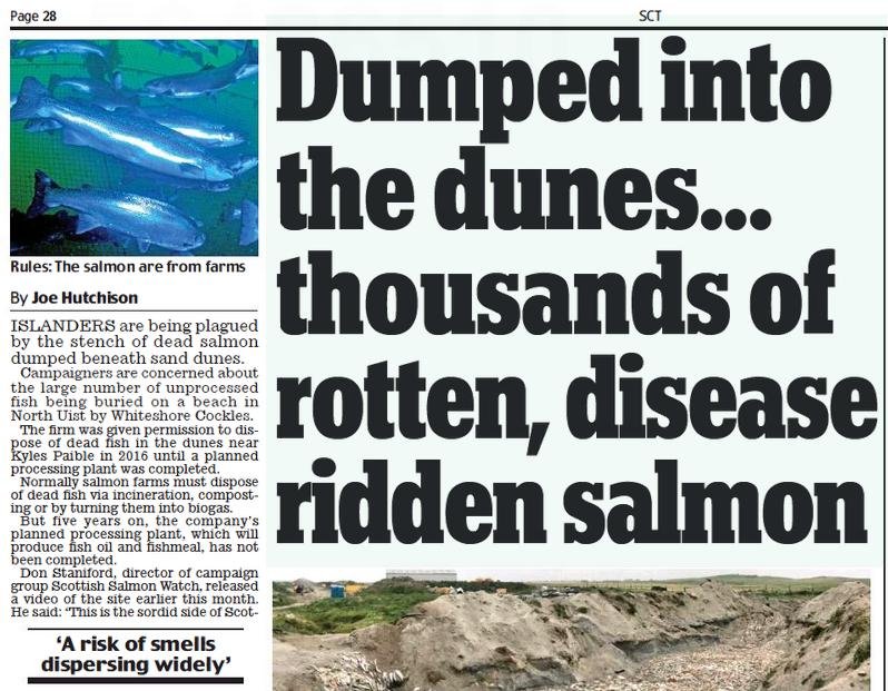 Daily Mail 27 May 2021 #1