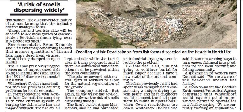 Daily Mail 27 May 2021 #2