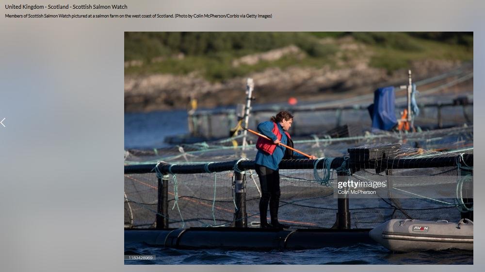 BBC blog #6 BBC blog #6