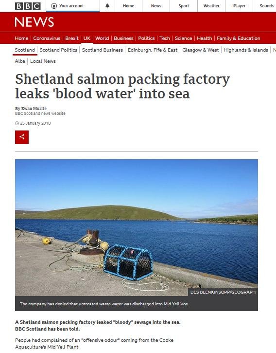 BBC blog #11 BBC blog #11