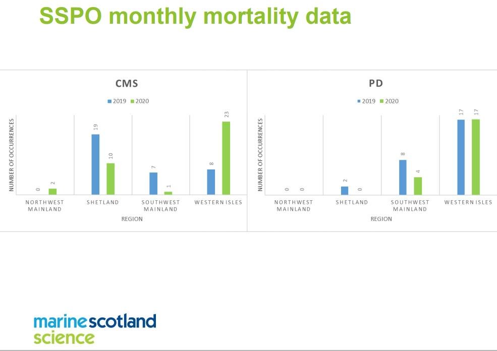 TriNations SG report April 2021 CMS HSMI PD #2