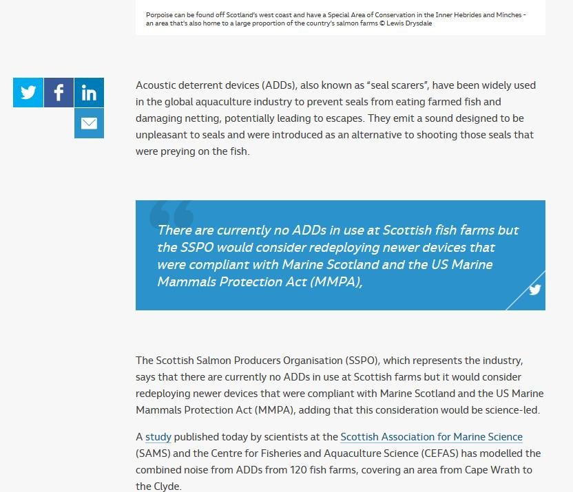 Fish Site 9 June 2021 #2