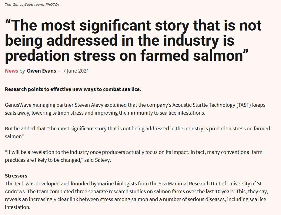 Salmon Business Genus Wave June 2021 #2