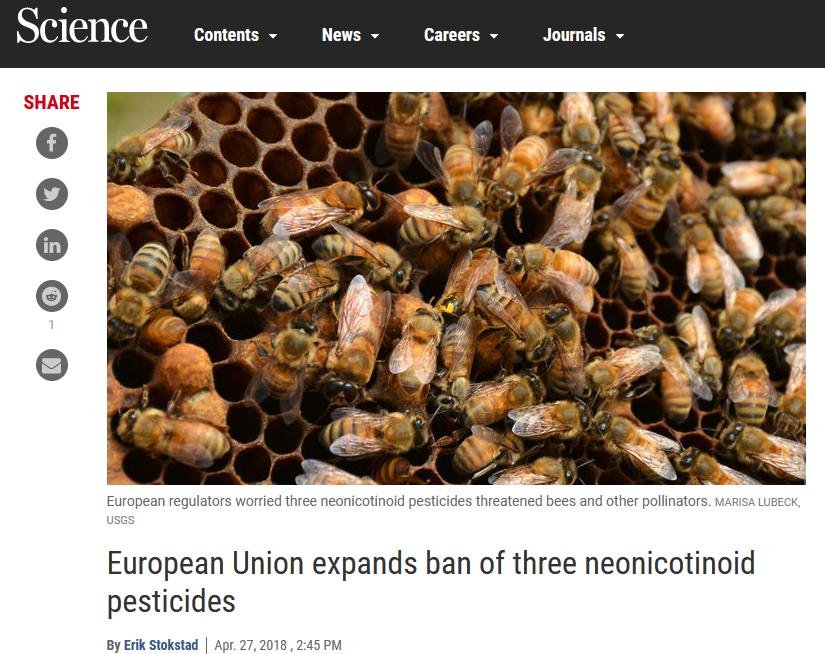 Norway Imidacloprid blog June 2021 #27