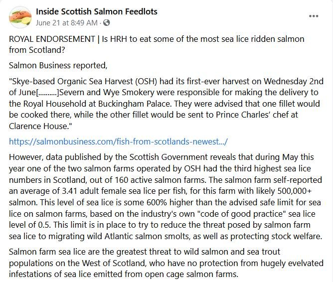 OSH royal blog June 2021 #1