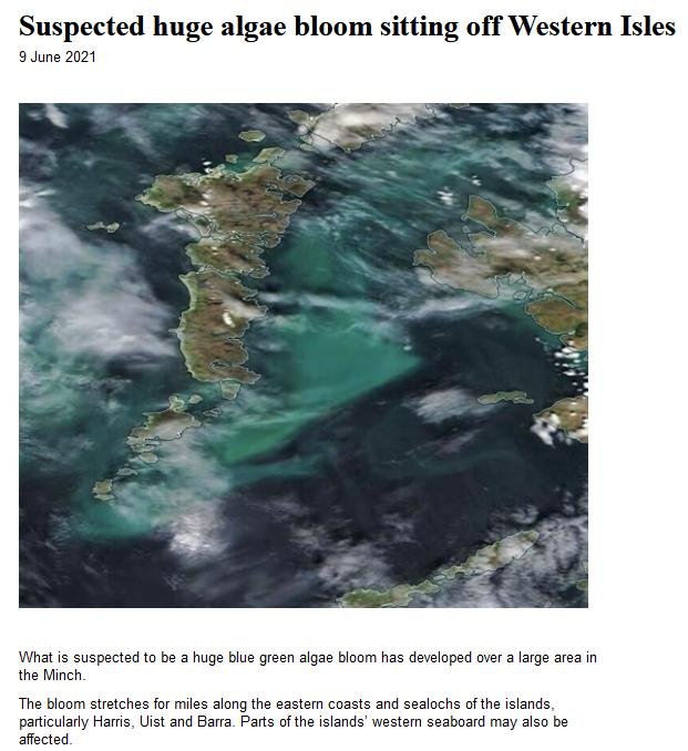 HAB blog June 2021 #2 HAB blog June 2021 #2