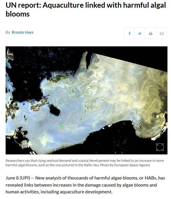 HAB blog June 2021 #13 HAB blog June 2021 #13