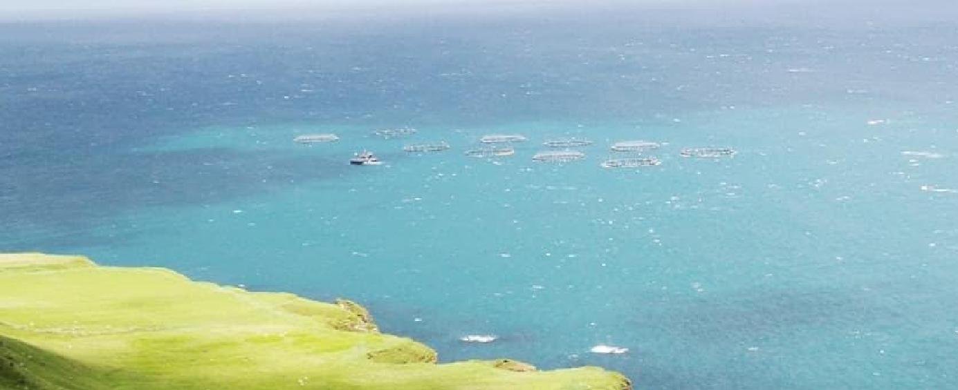 HAB blog June 2021 photo closer HAB blog June 2021 photo closer