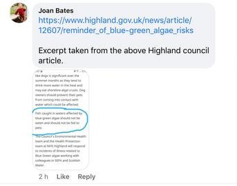 HAB blog June 2021 photo closer Facebook post #4 HAB blog June 2021 photo closer Facebook post #4