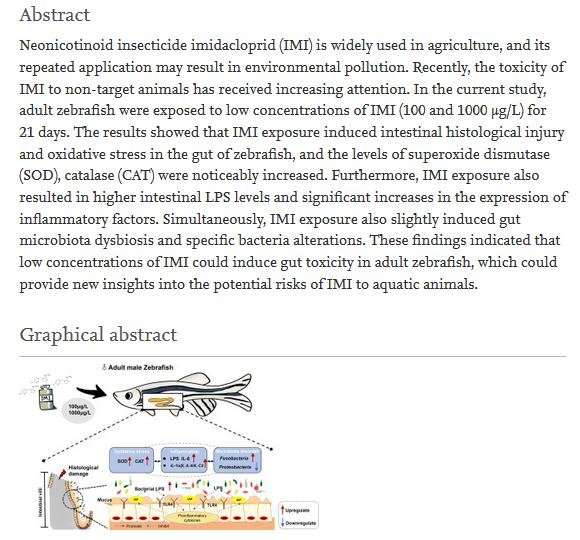 Pet deaths blog June 2021 #26