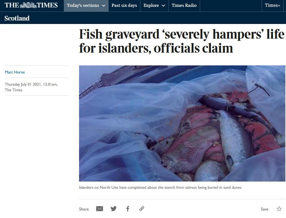 Times 1 July 2021 #1