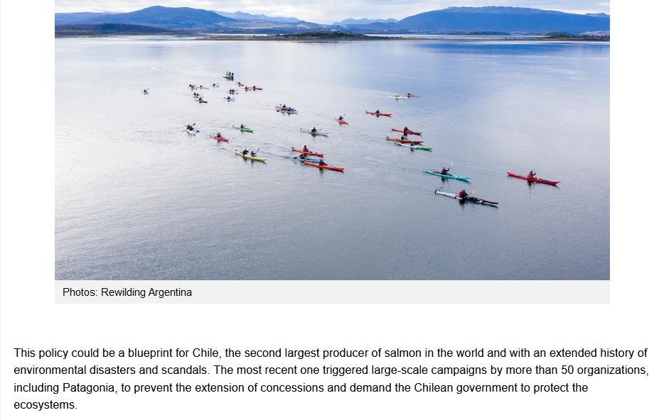 Argentina blog July 2021 #5