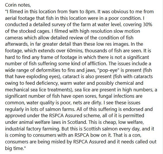 Salmondemic blog July 2021 #46 Corin Facebook Salmondemic blog July 2021 #46 Corin Facebook