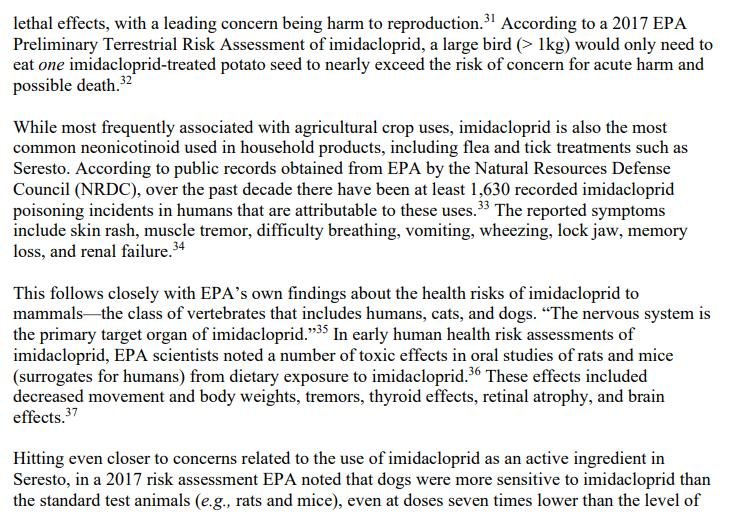 Pet death blog July 2021 #8