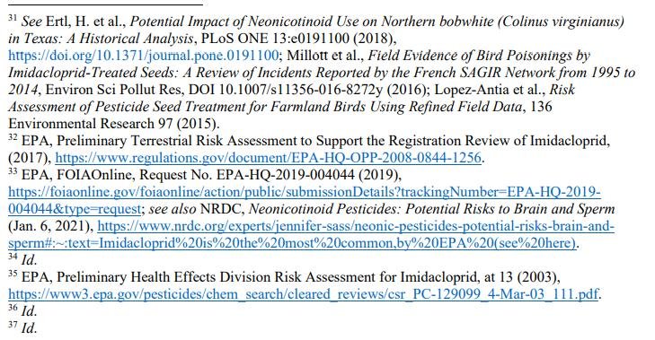 Pet death blog July 2021 #9