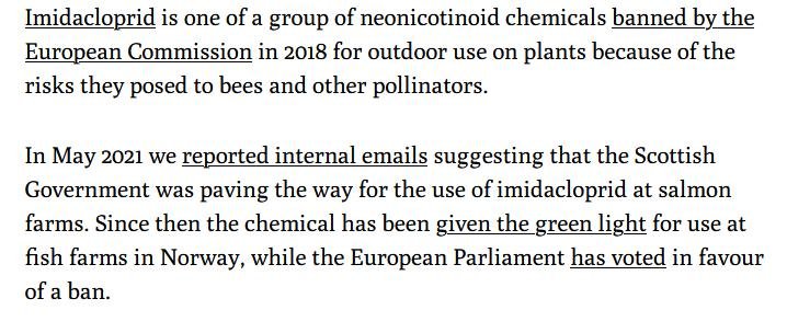 Ferret 19 July 2021 #3 Ferret 19 July 2021 #3