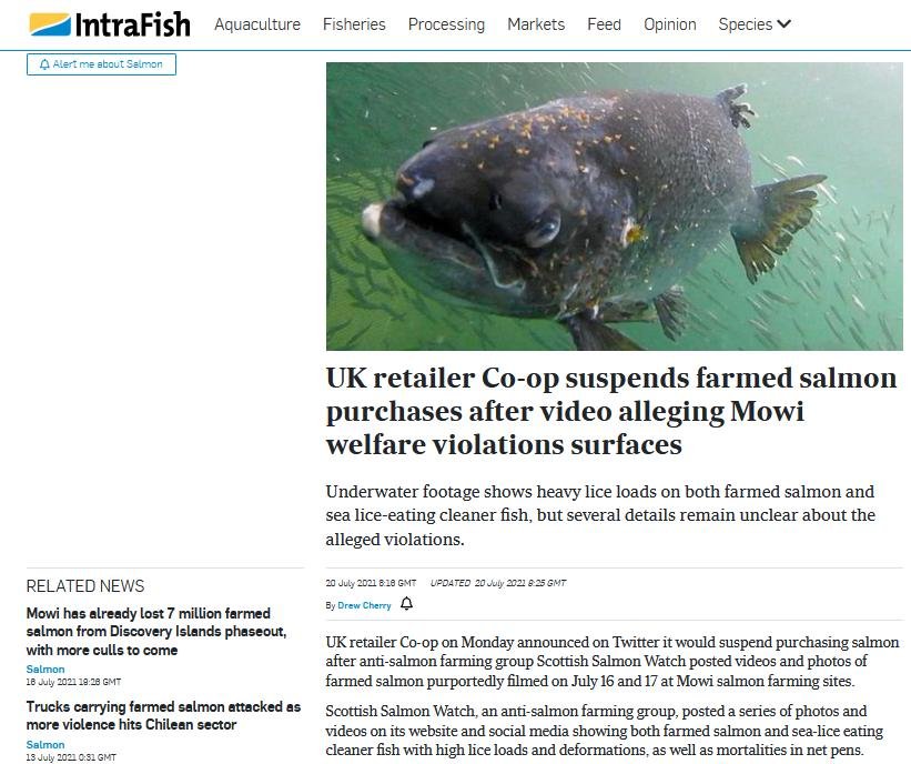 Intrafish 20 July 2021 #1