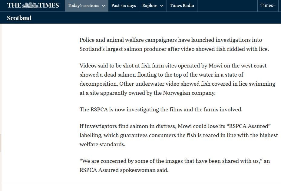 Times 26 July 2021 #2