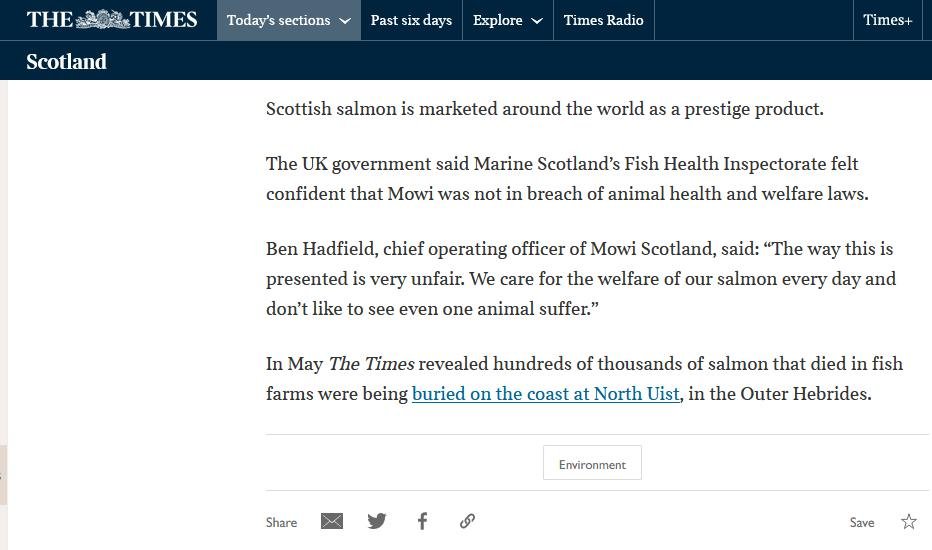 Times 26 July 2021 #4