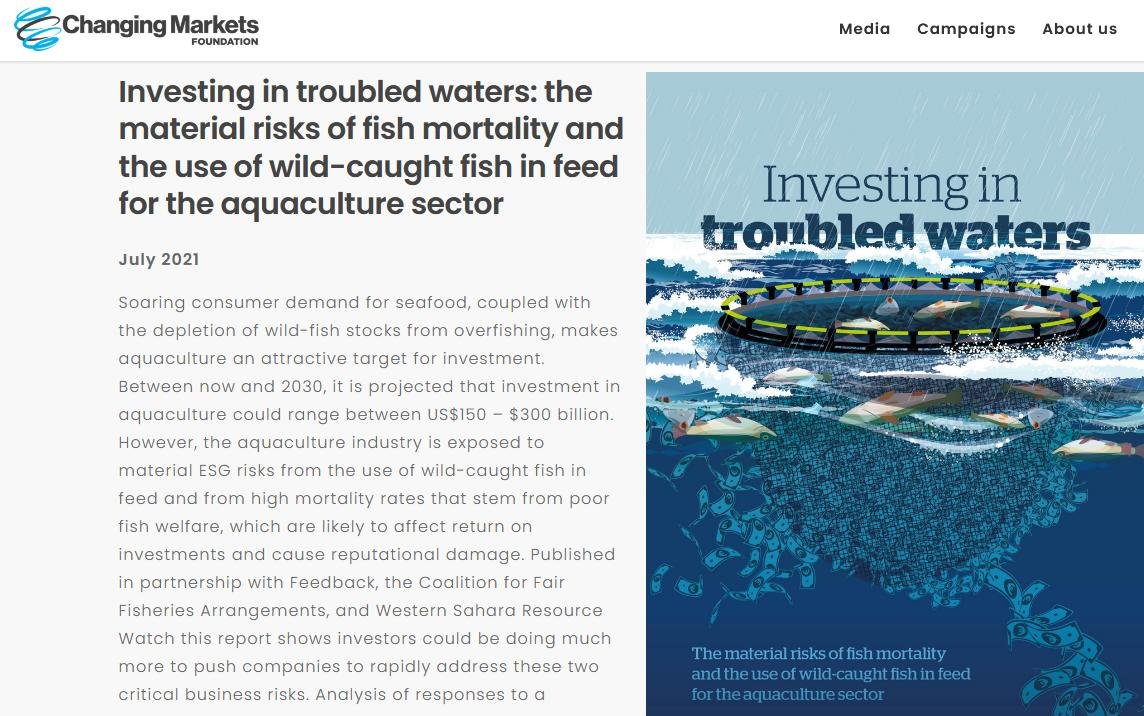 Investors warning report July 2021 #4 Investors warning report July 2021 #4