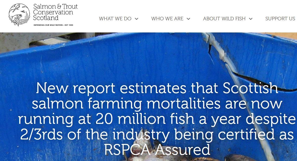 RSPCA capture blog 30 July 2021 #2