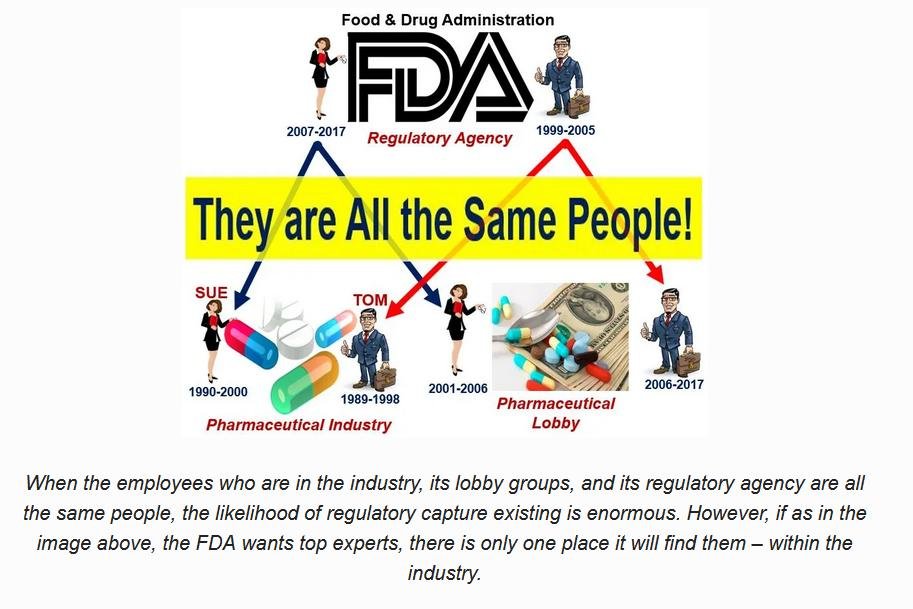 RSPCA capture blog 30 July 2021 #8