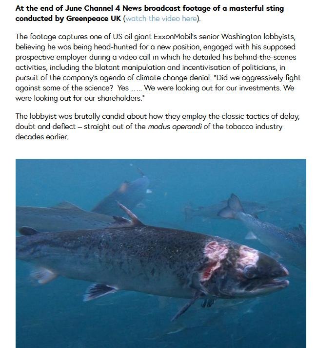 S&TCS blog July 2021 #2