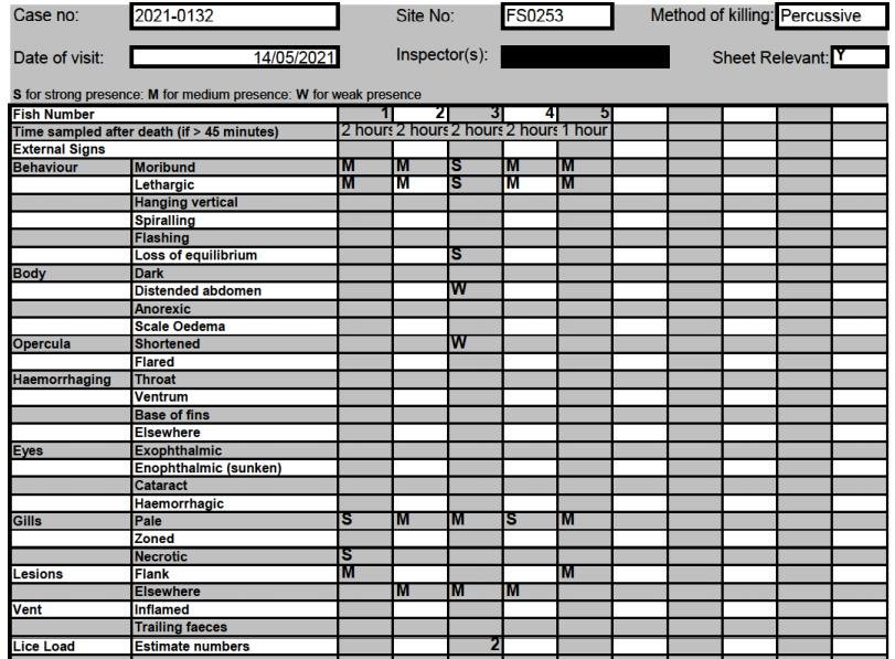 FHI May 2021 Spelve #7 FHI May 2021 Spelve #7