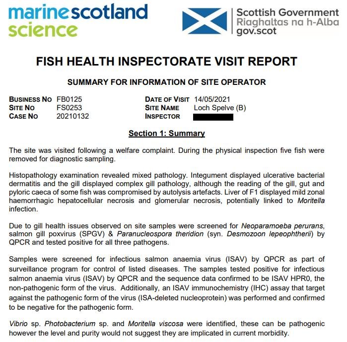 FHI May 2021 Spelve #10 FHI May 2021 Spelve #10