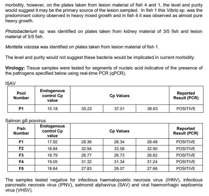 FHI May 2021 Spelve #14 FHI May 2021 Spelve #14