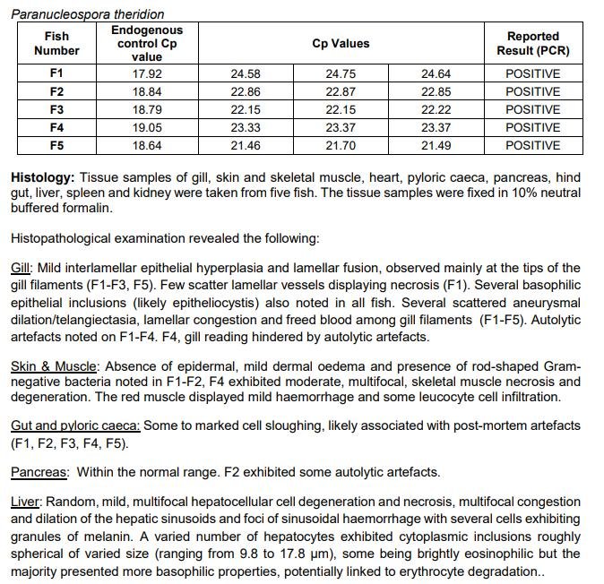 FHI May 2021 Spelve #16 FHI May 2021 Spelve #16