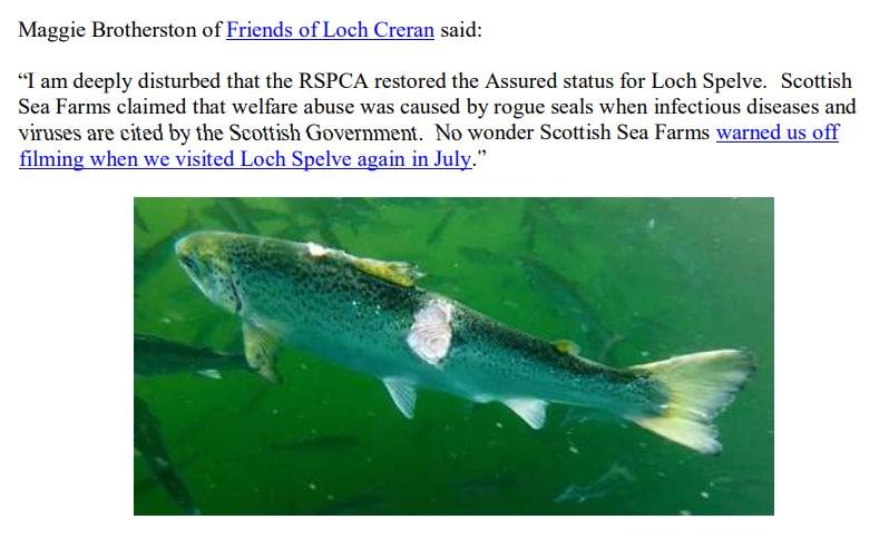 PR ISA in Loch Spelve 30 August 2021 #13