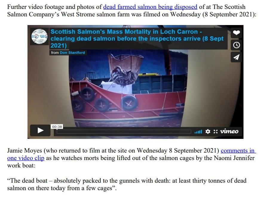 PR Horror Videos Reveal Welfare Abuse Inside Scottish Salmon & Trout Cages 12 September 2021 #8
