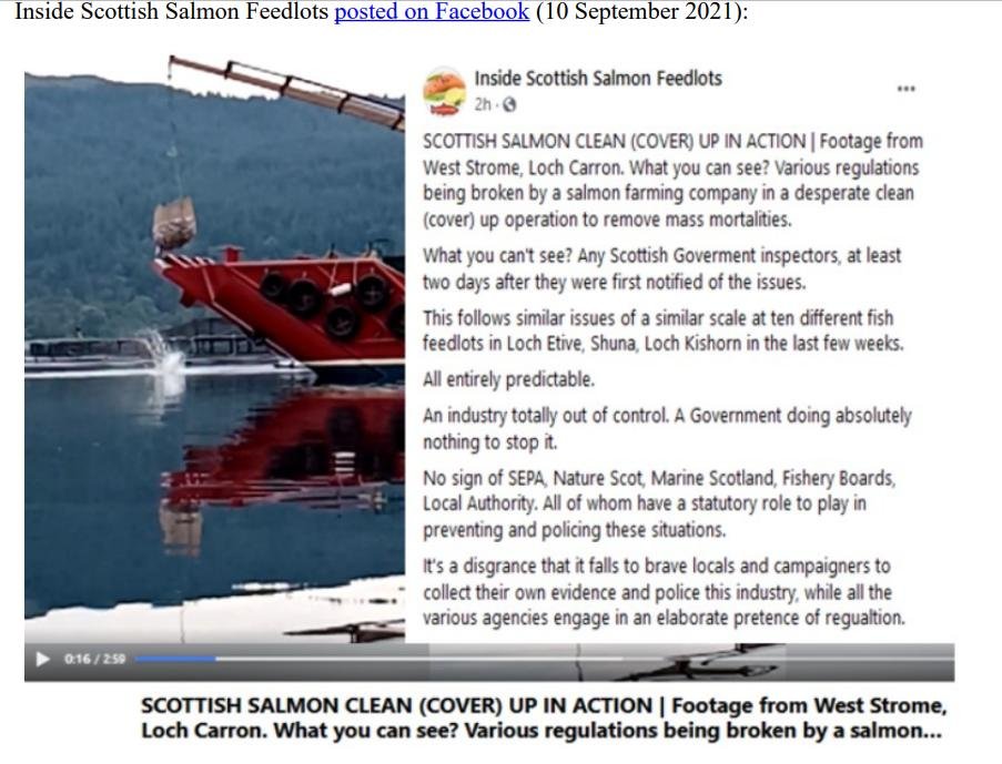 PR Horror Videos Reveal Welfare Abuse Inside Scottish Salmon & Trout Cages 12 September 2021 #14