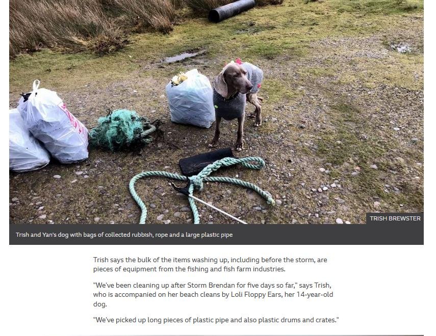 MCS beach clean #7 MCS beach clean #7