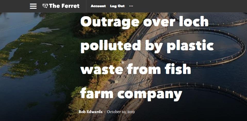 MCS beach clean #9 MCS beach clean #9