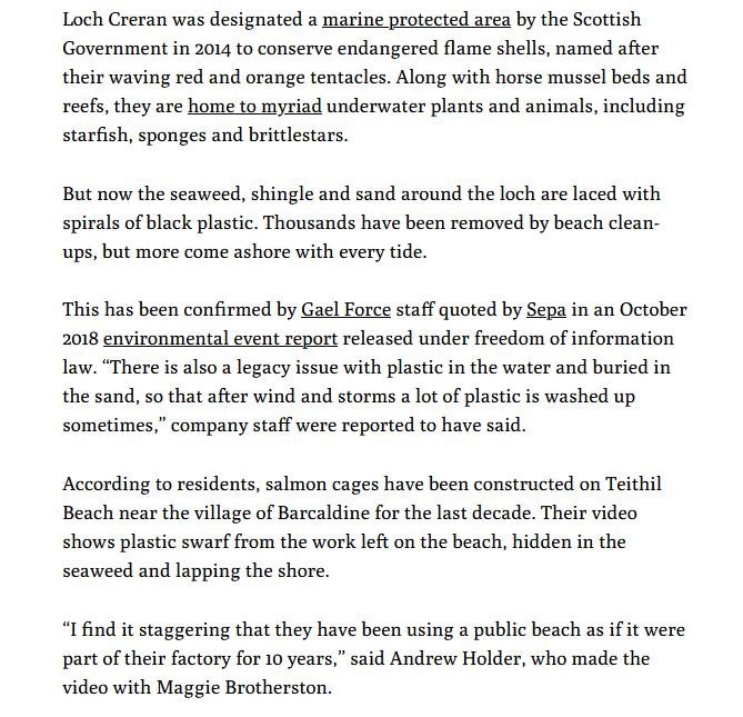 MCS beach clean #11 MCS beach clean #11